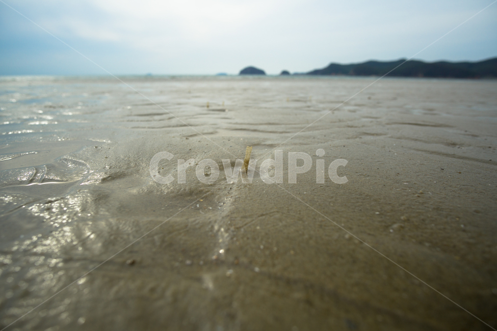 운여해변,서해안,태안해변,간조,landscpae,바다,모래,sand,nature,자연,풍경,nature,landscape,outdoors,옥외