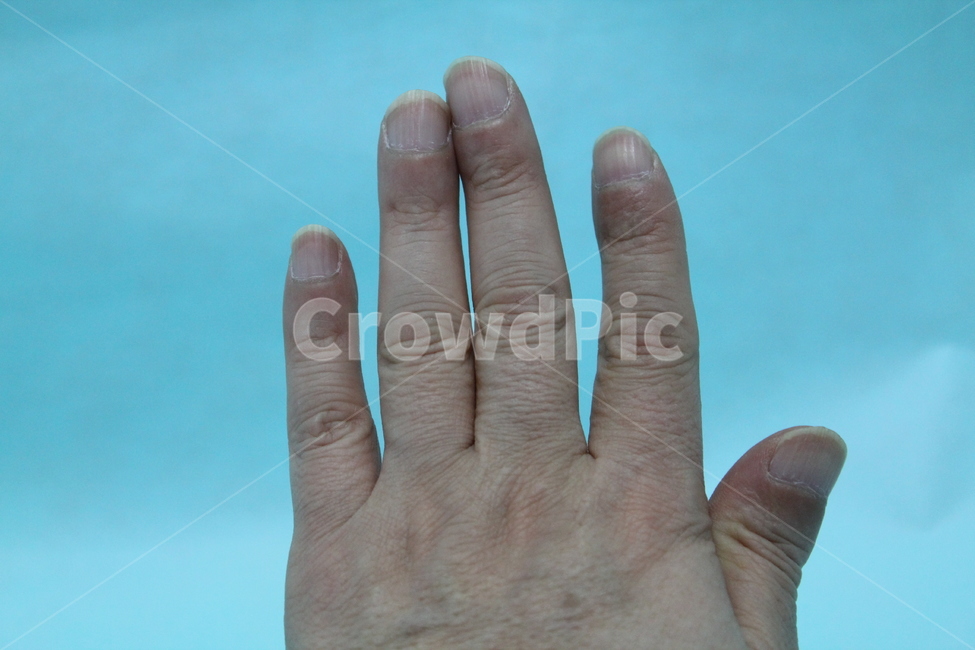 손,손가락,손가락모양,손모양,손톱,손등,신체,인체,사람,인물,인간,human,person,신체일부,몸,body