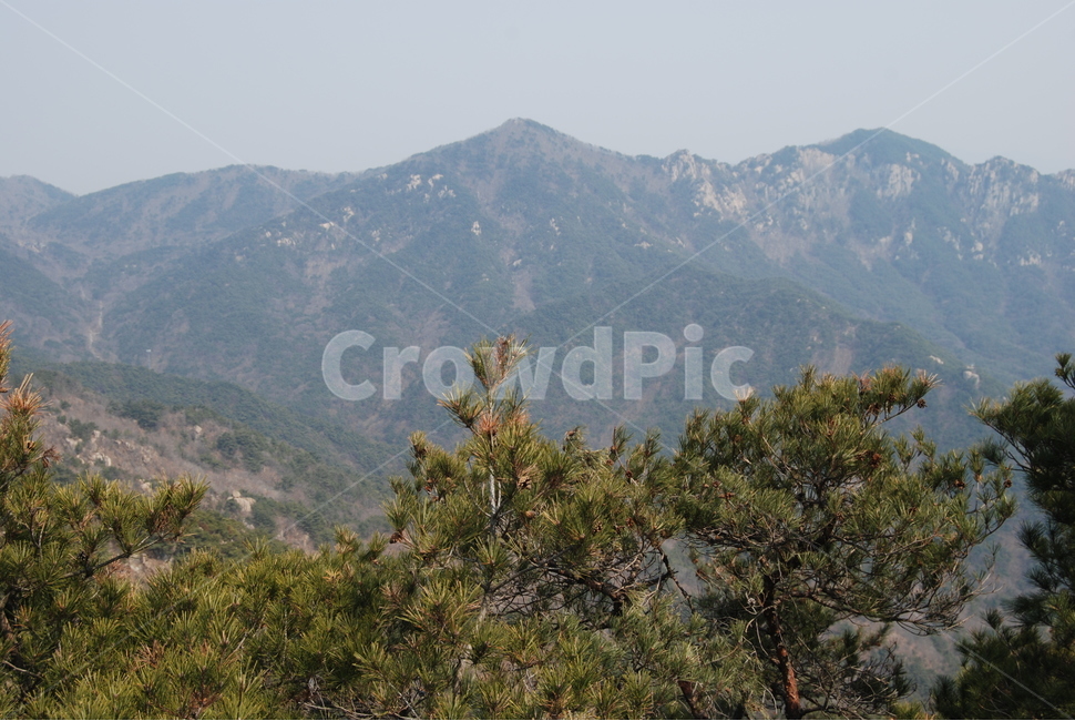 화왕산,창녕화왕산성,비들재,등산로,능선,치유,여행,돌,산행,힐링,자연,동행,등산,계절,한국,한국명산,한국등산,풍경,나무,하늘,바람,땅,자연,풍경,nature,landscape,한국자연풍경,한국자연경관,korea nature landscape,outdoors,옥외,mountain range,산맥,mountain,산,plant,식물,tree