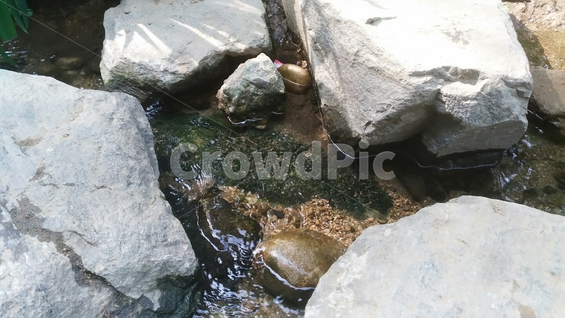 서울숲,자연,개울,바위,계절,nature,고요,자연스러운,잔잔한,rock,landscape,water,brook