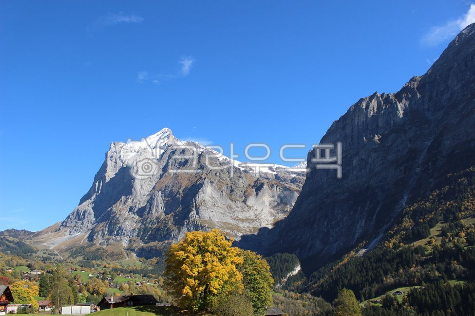 가을하늘,그린델발트,스위스,피르스트,가을스위스,산,절벽,설경