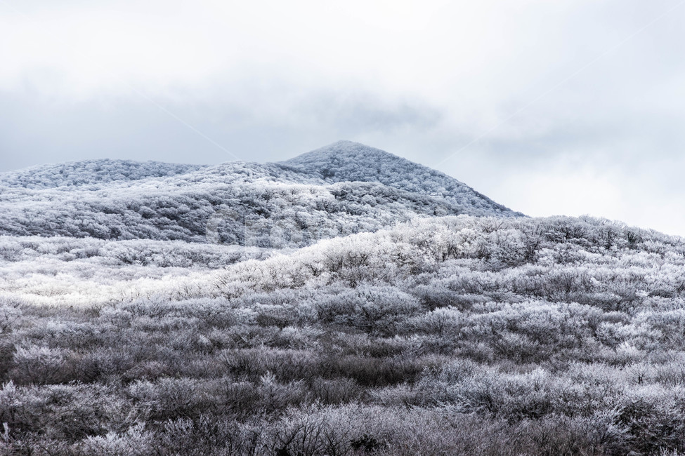 산,설경,눈,제주,겨울,mountain,snowmountain,snow,jeju,winter