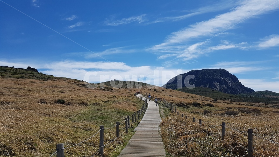 제주도,한라산,영실코스,남벽,나무데크길