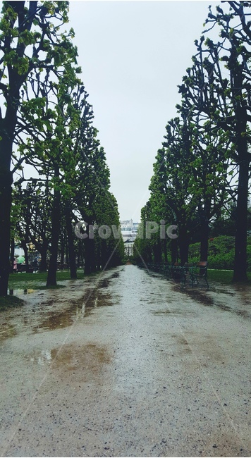 garden,나무,숲,nature,forest,식물,자연,plants,nature,나무,trees,wood