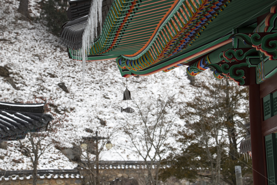 종교,풍경,절,불교,건물,사찰,지붕,단청,풍경소리,기와,목조건물,하늘,종,물고기,잉어,처마,추녀,바람,전통,정암사,강원도,눈,계절,겨울,고드름,기와지붕