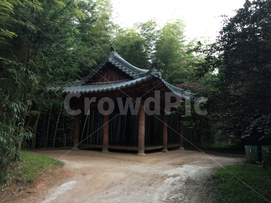 풍경,담양,정자,휴식처,명소,대나무,야외,나무,장식,공원,동양,녹색,열대,흰색,여행,보기,꽃,휴일,잔디,여름,아시아,건물,한국,해변,푸른,아름다움,하늘,집,관광,바다,목조,리조트,아름다운,물,자연,전망대,휴가,도로,남쪽,메타스퀘어길,메타스퀘어,흙,기와,기와집,옛날,전통,빈티지,그린,역사,사진,휴식,힐링,rest,relaxation,healing,한국전통,한국문화,korean traditional,korean culture