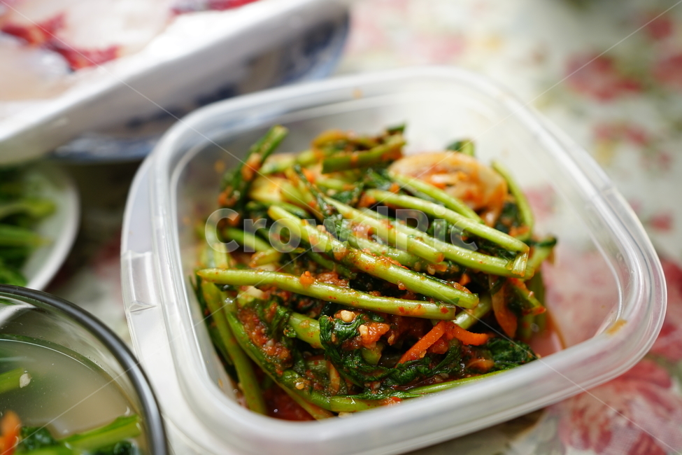 김치,열무,열무김치,반찬,한식,식단,먹거리,한국음식,집밥,반찬거리,음식,푸드,식사,우리집반찬,음식,식재료,요리,food,cook,meal,dishes,food reserves,채소,야채,vegetables,한식,한국음식,한국요리,korean food,korean dishes,korean meal,korean cook