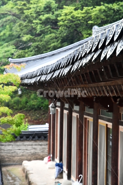 수덕사,기와,비오는날,고전건축,빗방울,감성,outdoors,옥외,nature,자연,한국전통,한국문화,korean traditional,korean culture,비,비오는날,rain,rainy,건축물,건물외관,exterior,building,structure,architecture,construction