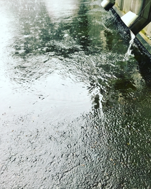 소나기,강수량,일중쉬는시간,배수로,보슬보슬,비,비오는날,rain,rainy