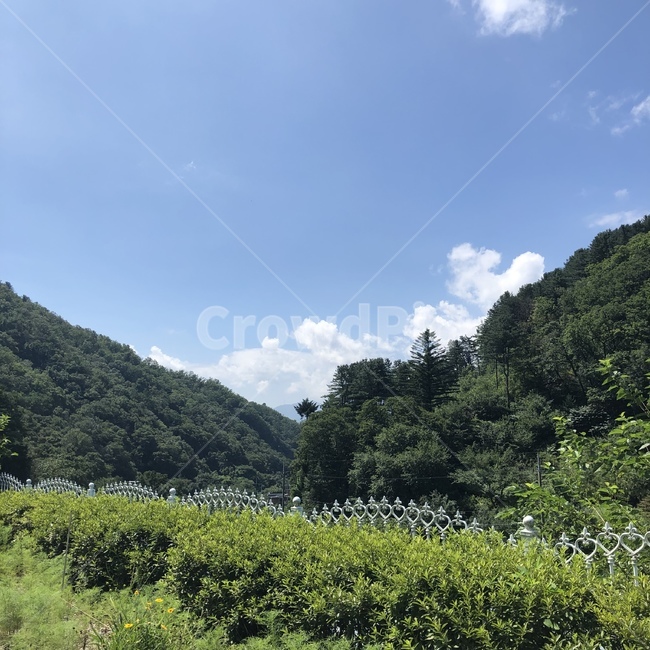outdoors,nature,자연,산,계곡,여름