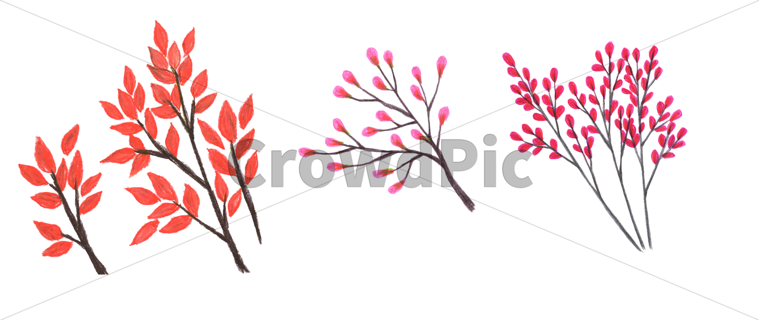 식물,잎,꽃,flower,bloom,blossom,blow,나뭇잎,leaf,foliage,umbrage,greenery,색연필,coloredpencil,나무,tree,plant,wood,손그림,식물,자연,plants,nature,그래픽,일러스트레이션,graphic,illustration