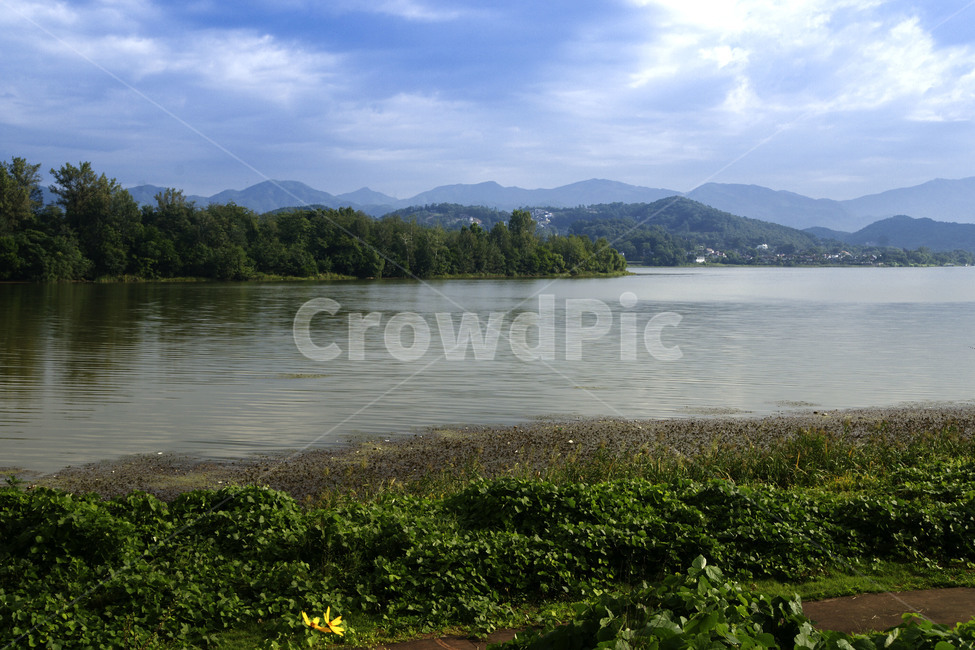풍경,반영,호수,양평,구름,녹색,풍경사진,자연풍경,자연,풍경,nature,landscape,water,물,outdoors,옥외