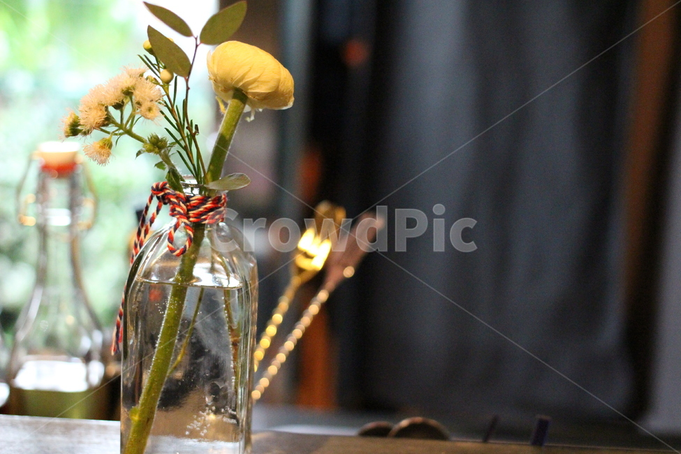 꽃,꽃병,보드카집,노란꽃,이쁜술집,꽃,flower,실내용화초,화분,화초,house plant,인테리어,실내디자인,interior design
