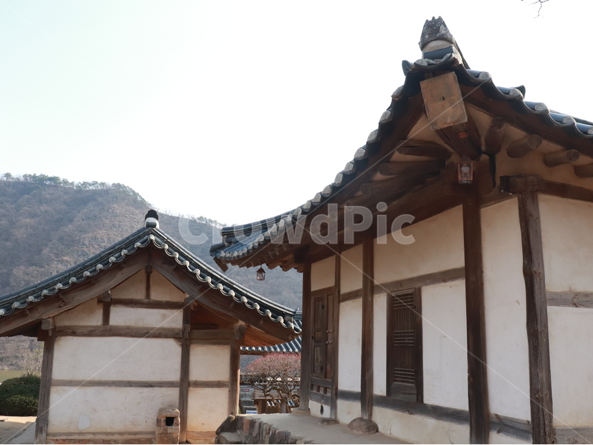 안동,하회마을,초가,옛스러운,고즈녁한,기와