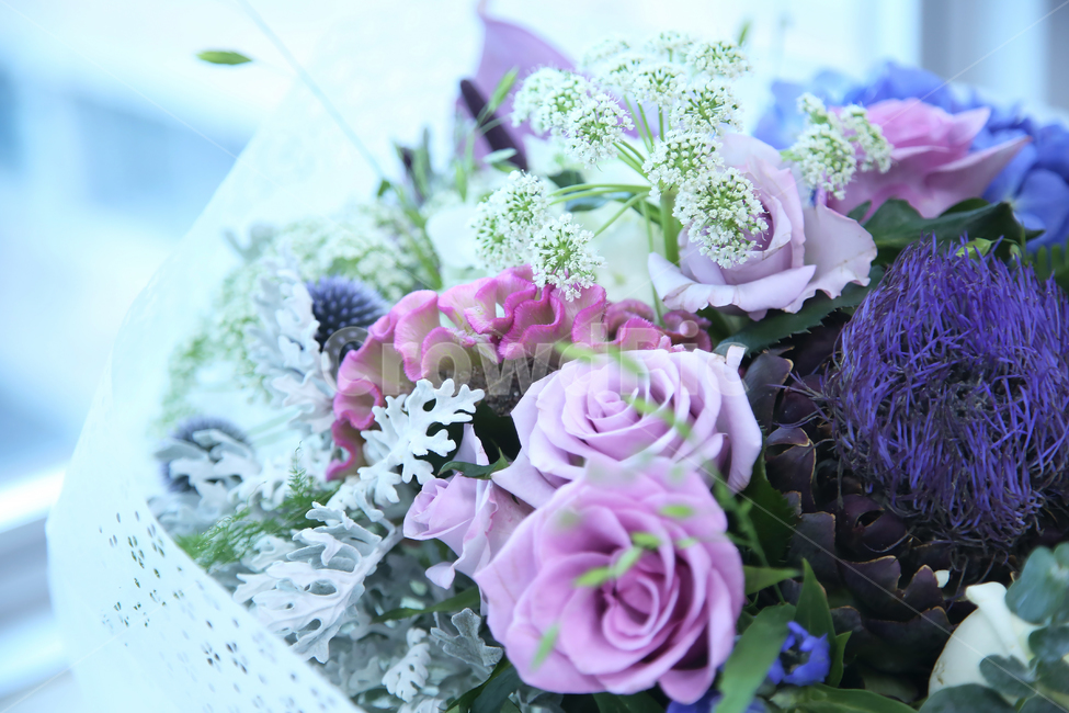 꽃다발,장미,선물,대형꽃다발,이벤트,꽃배경소스,꽃,flower,기념일,축하,anniversary,congratulation,celebrate,celebration
