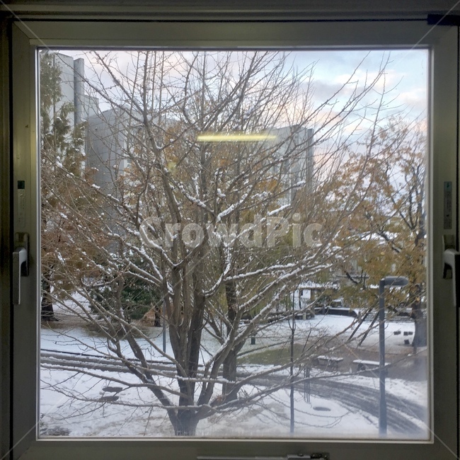 겨울,눈,겨울나무,창문,자연,일본,쓸쓸,눈오는날,가지,눈길,겨울,계절,winter,season,자연,풍경,nature,landscape,home decor,가정 장식,door,문