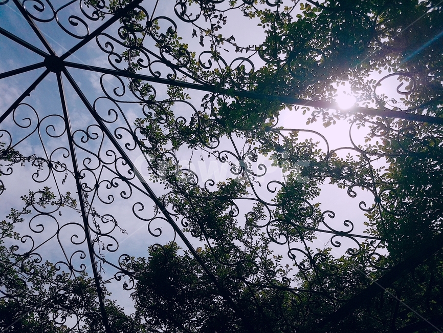 자연,햇빛,분위기,우수,하늘,자연,풍경,nature,landscape