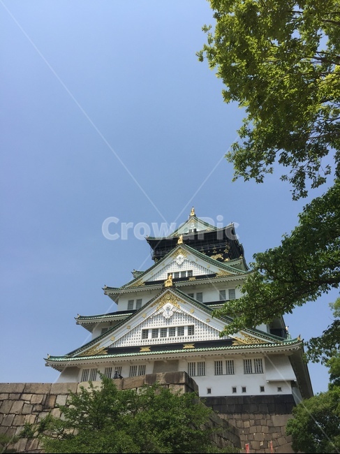 일본,오사카,오사카성,japan,osakacastle