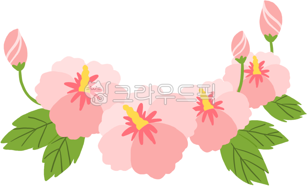 Rose of Sharon,flower,Liberation Day,Independence Day,Memorial Day,Liberation Day