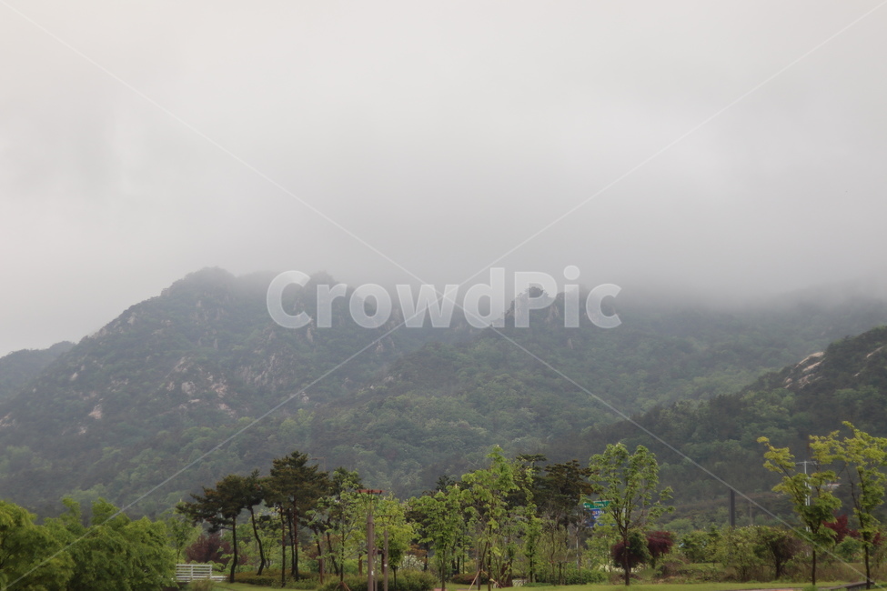 용봉산,구름,비,나무,봄,흐림,자연,풍경,nature,landscape,한국자연풍경,한국자연경관,korea nature landscape,outdoors,옥외,weather,날씨