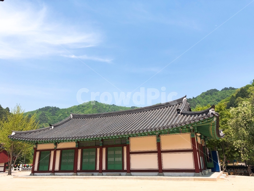 봄,절,절풍경,buddhisttemple,산