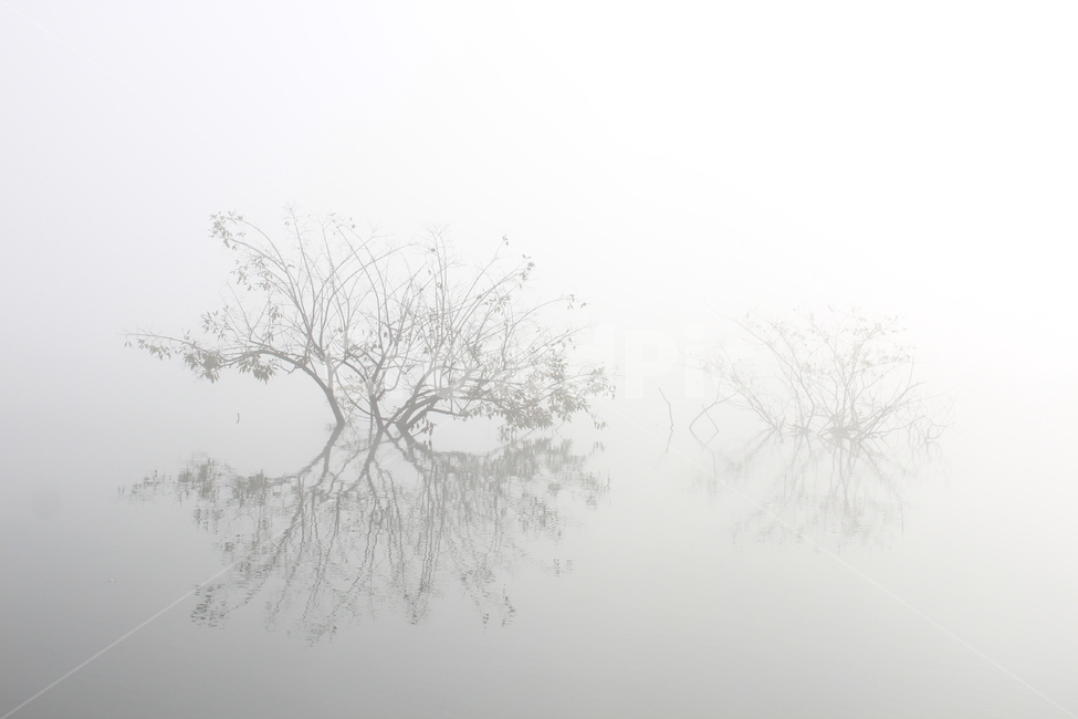 nature,자연,outdoors,옥외,나무,반영,호수,저수지,reflection,mirror