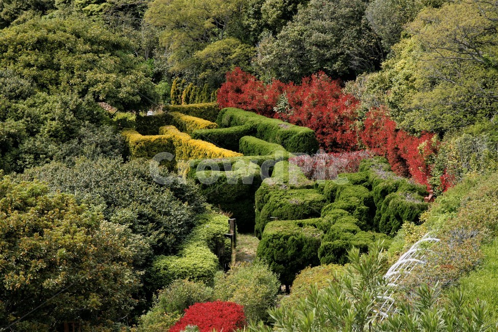 조경,미로,장사도,공원,거제,자연,풍경,nature,landscape