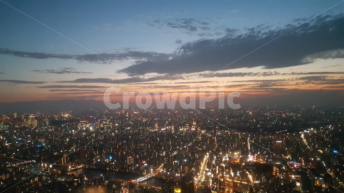 야경,전망대,스카이트리,일본,도쿄,밤,도시,night,풍경,아사쿠사
