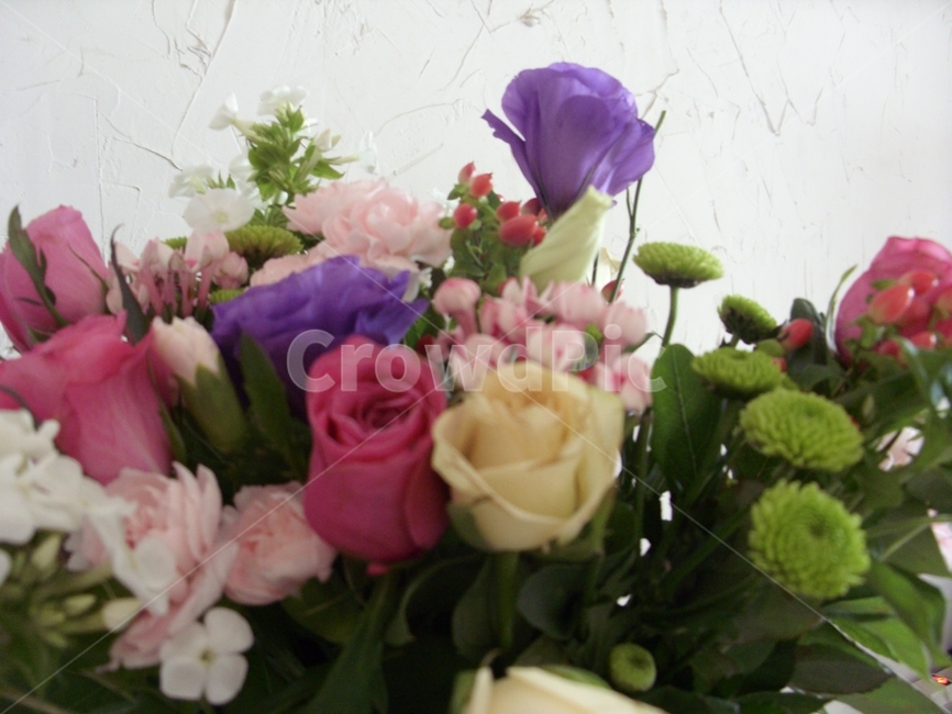 gift,fragrant,fancy,bunchofflowers,Light pink,thanks,spring,beautiful,flower gift,graduate,flowers,thankyou,Anniversary,violet,bouquet,celebration,plant,feelingofcolor,Scent,present,colorful,birthday,pink,color,plants,colorsense,Emotion,gay,pretty,congrat