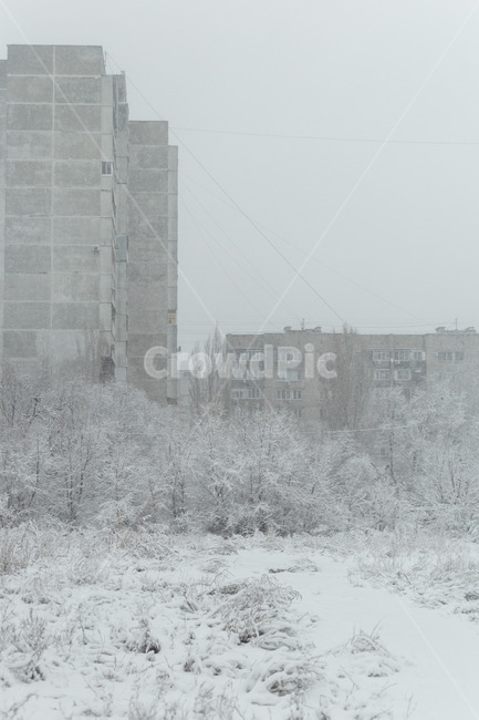 winter,겨울,nature,자연,storm,폭풍,outdoors,눈보라,snow,눈,겨울,계절,winter,season