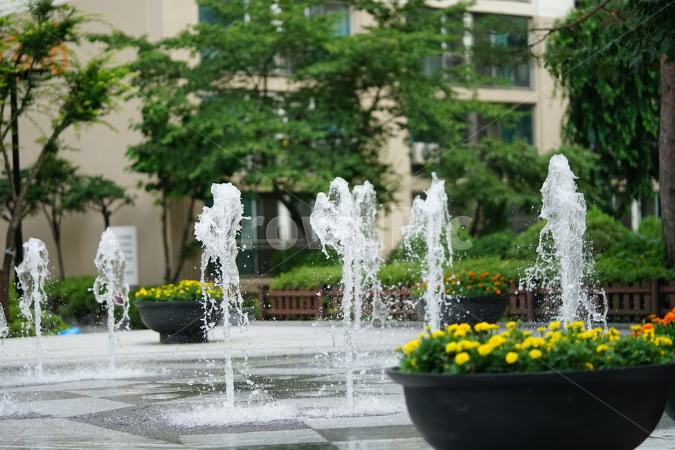분수,물,물줄기,여름,계절,water,순간,순간포착,더위,summer,여름,계절,summer,season,fountain