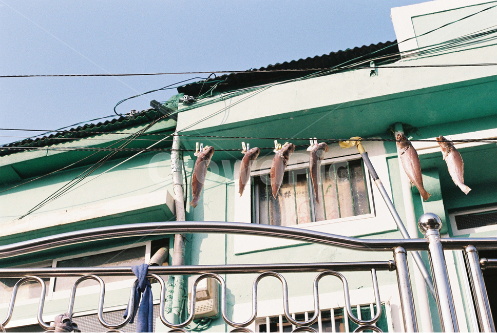 부산,감천마을,골목,필름,film,필름사진,건물,koreacity,골목길,alley,vehicle,차량,boat,보트,transportation,교통