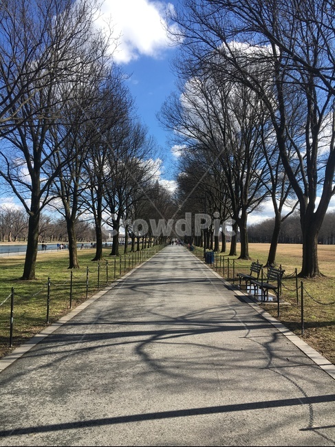 워싱턴,길거리,스트릿,워싱턴dc,야외,washington,lincolnmemorial,washingtonDC,링컨기념관,자연,풍경,nature,landscape,asphalt,아스팔트,road,도로,path,통로
