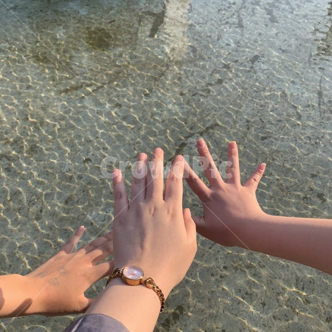hand,human,인간,목포,한국,사람,숭어,물고기,고기,fish,친구,person,손