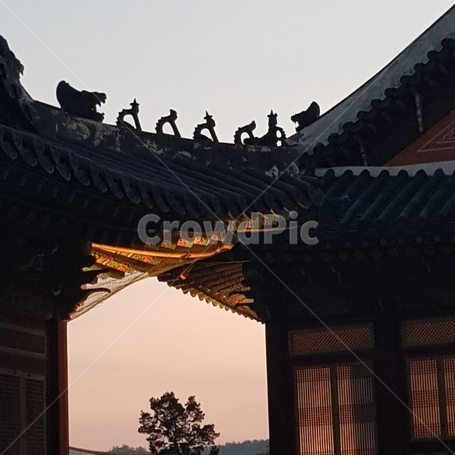 한국,경복궁,gyeongbokgung,야간개장,palace,한국전통,한국문화,korean traditional,korean culture,건축물,건물외관,exterior,building,structure,architecture,construction