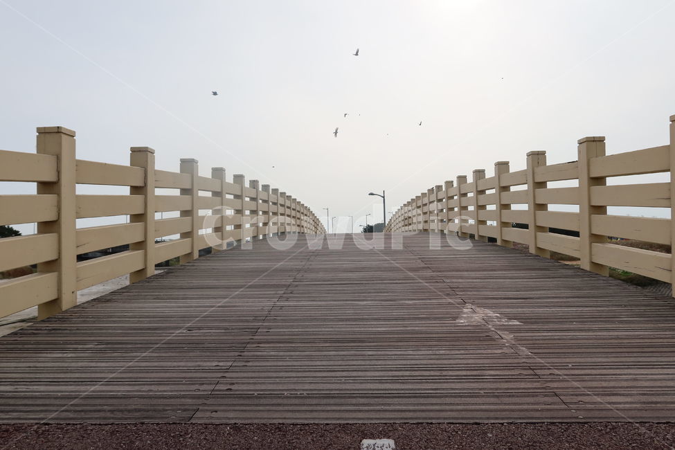 bridge,다리,boardwalk,산책로,갈매기,하늘