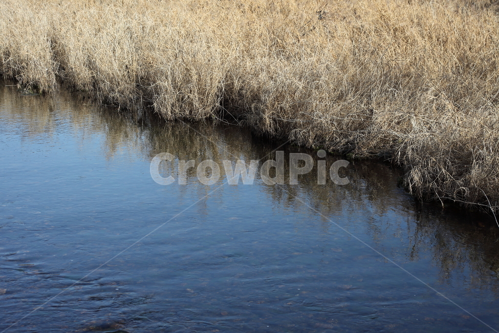 강물,풀,물,반영,reflection,자연,풍경,nature,landscape,grass,잔디,plant,식물,lawn,water