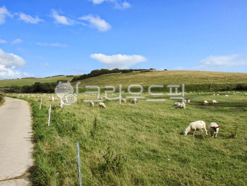 자연, nature, 들판, grassland, 초원, 사진,이미지,일러스트,캘리그라피 - 맹맹이작가