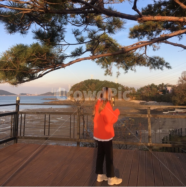 나무,뒷모습,배경,패션,하늘