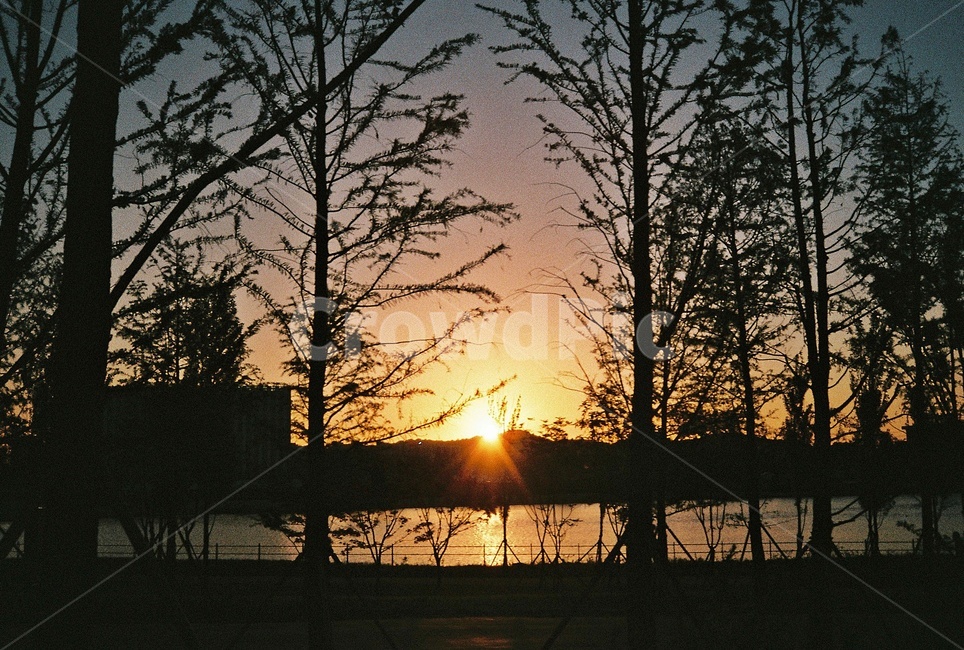 nature,자연,outdoors,옥외,sky,하늘,sunset,일몰,황혼,붉은하늘,플레어,light,빛,flare,sunlight,햇빛,자연,풍경,nature,landscape,dusk,dawn,새벽,red sky,붉은 하늘