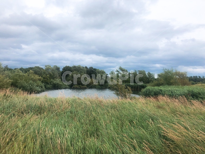 공원,호수,들,목초지,park,lake,field,meadow,grassland,countryside,grass,식물,plant,자연,nature,outdoors,옥외