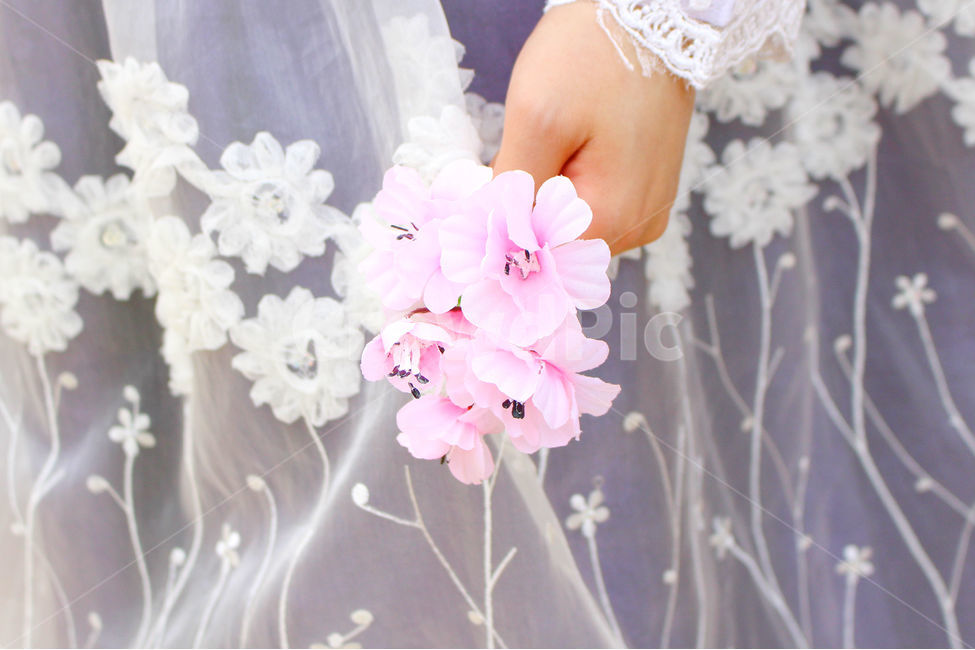 사람,감성사진,한복,꽃,풍경,풍경사진,손,전통한복,girl,peopel,hanbok,flower,봄,계절,spring,season,한국전통,한국문화,korean traditional,korean culture,한복,한국전통의상,hanbok,korean traditional clothes,식물,자연,plants,nature,꽃,flower,사람,인물,인간,human,person,신체일부,몸,body,여성,여자,woman,female,lady,plant