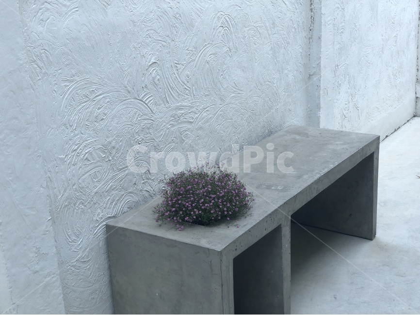 흰색,회색,벽,의자,꽃,시멘트,보라색꽃,하얀,풍경,사진,배경,벽무늬,wall,gray,white,식물,자연,plants,nature,꽃,flower