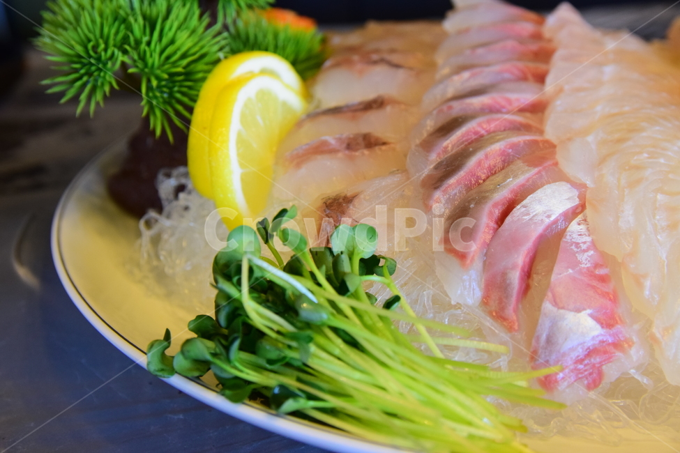회,무순,한접시,생선회,회접시,음식,일식,rawfish,음식,식재료,요리,food,cook,meal,dishes,food reserves,수산물,해산물,fishery products,seafood