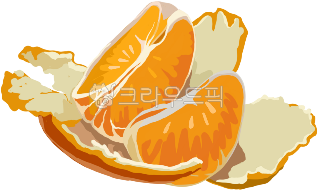 귤, 과일, 귤일러스트, 과일일러스트, mandarinorange, 사진,이미지,일러스트,캘리그라피 - mincell작가