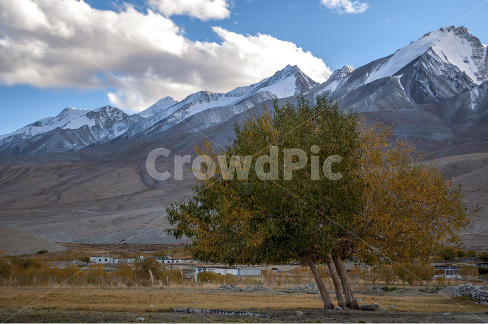 india,cloud,sky,mountain,tree,snow,인도,구름,하늘,travel,여행,나무,산,배경,풍경,landscape,view,자연,풍경,nature,landscape,시골,마을,country,rural,town,해외,외국,세계,foreign,oversea,world,세계자연풍경,해외자연풍경,외국자연풍경,world nature landscape,식물,plants,나무,trees,wood,outdoors,옥외,mountain range,산맥