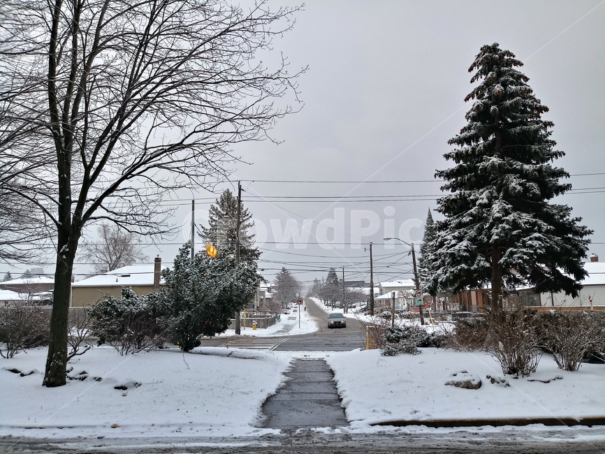 캐나다,외국,길거리,눈,겨울,canada,street,snow,winter