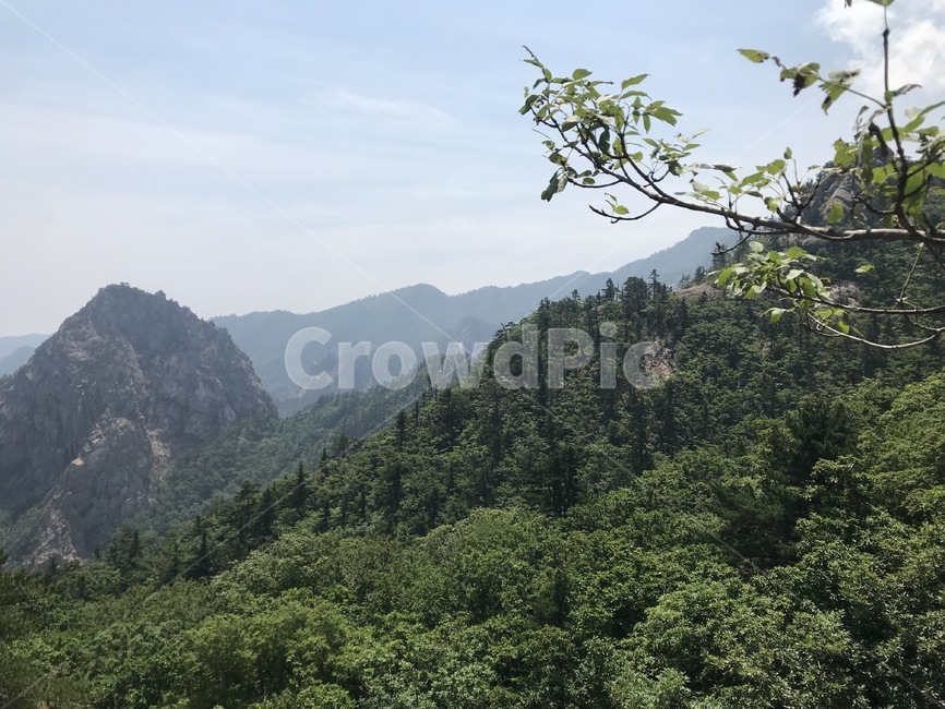 산,자연,설악산,바위,하늘,나무,seoraksanmountain,mountain,nature,자연,풍경,nature,landscape,outdoors,옥외