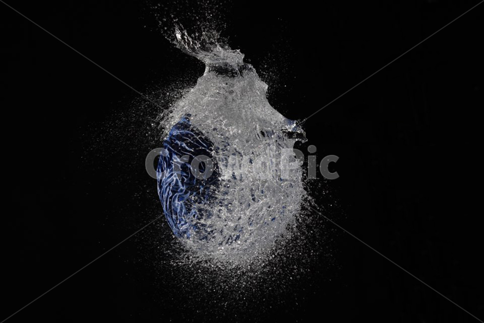 연출사진,테마사진,물풍선,풍선,물,balloon,water,연출,컨셉,콘셉,direction,concept