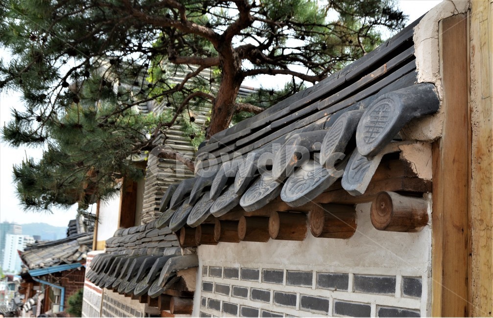 기와,지붕,roof,돌담,한옥,소나무,외관,담장,건축물